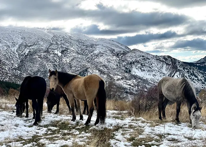 Monte Oiz Con Wifi Y Parking Gratis Daire