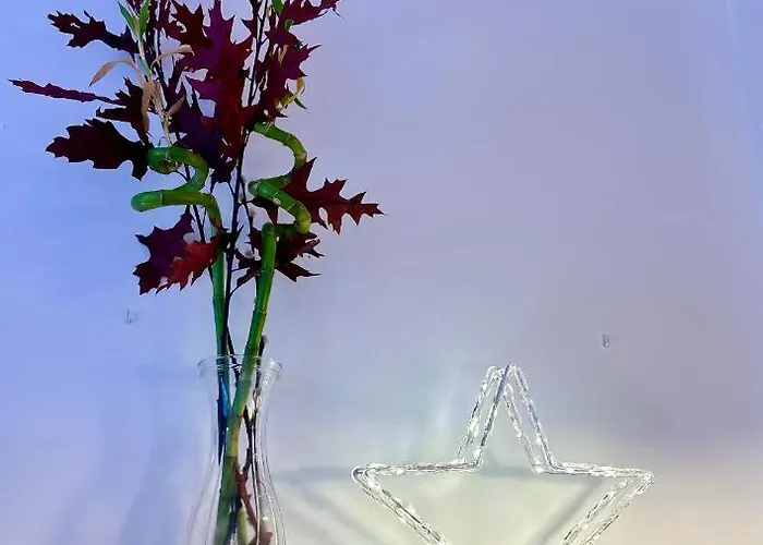 Monte Oiz Con Wifi Y Parking Gratis *